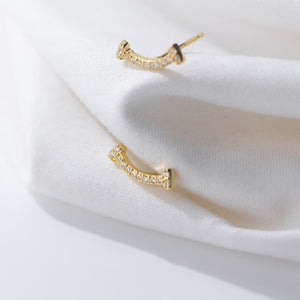 Women's 925 Silver Artistic Sweet Earrings